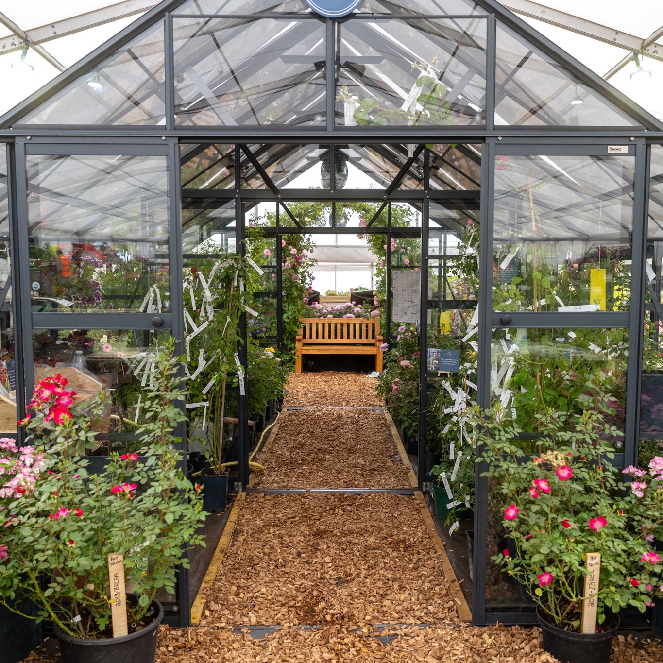 12ft wide rhino greenhouse fitted with a partition