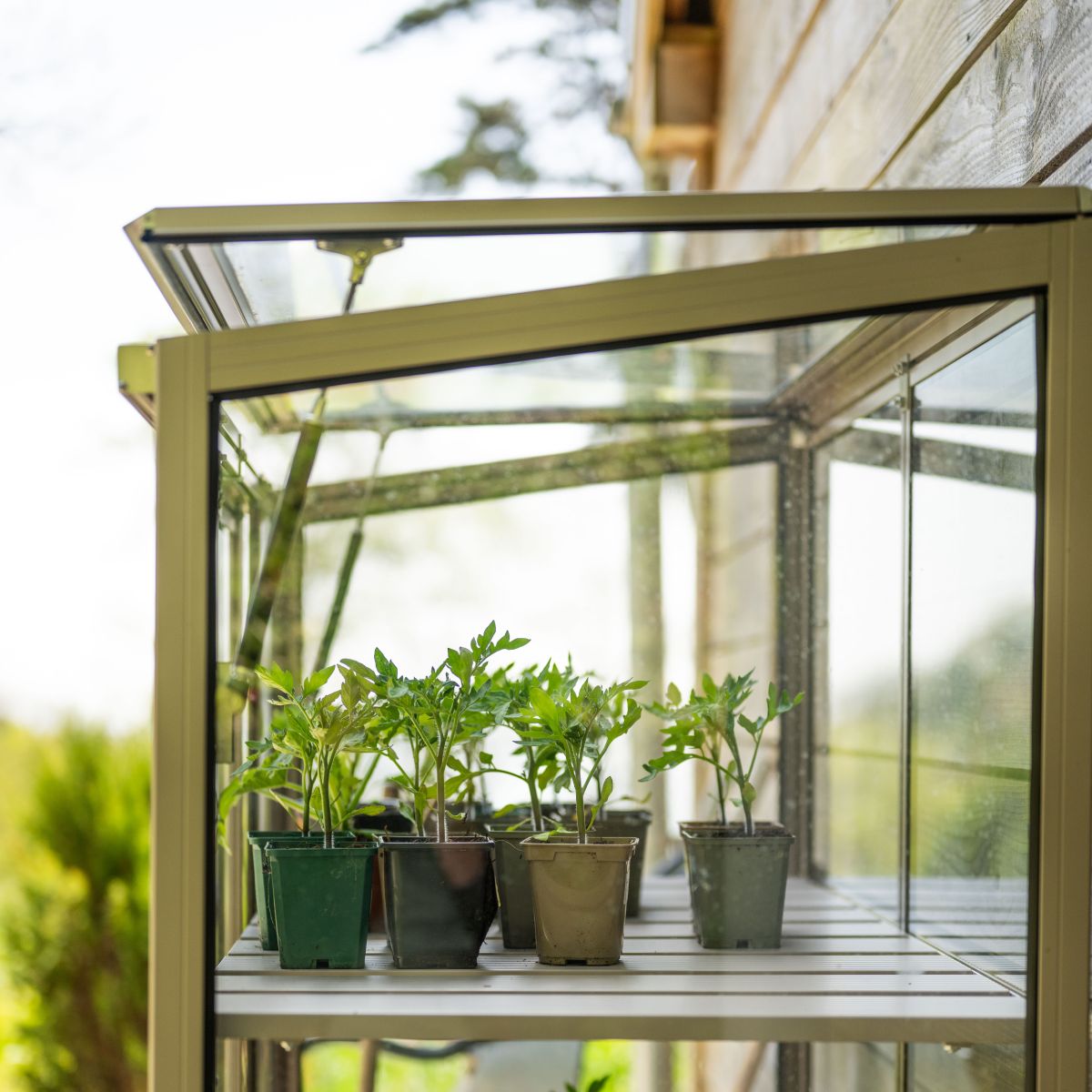**SOLD OUT** EX-SHOW MODEL - Rhino Patio Greenhouse
