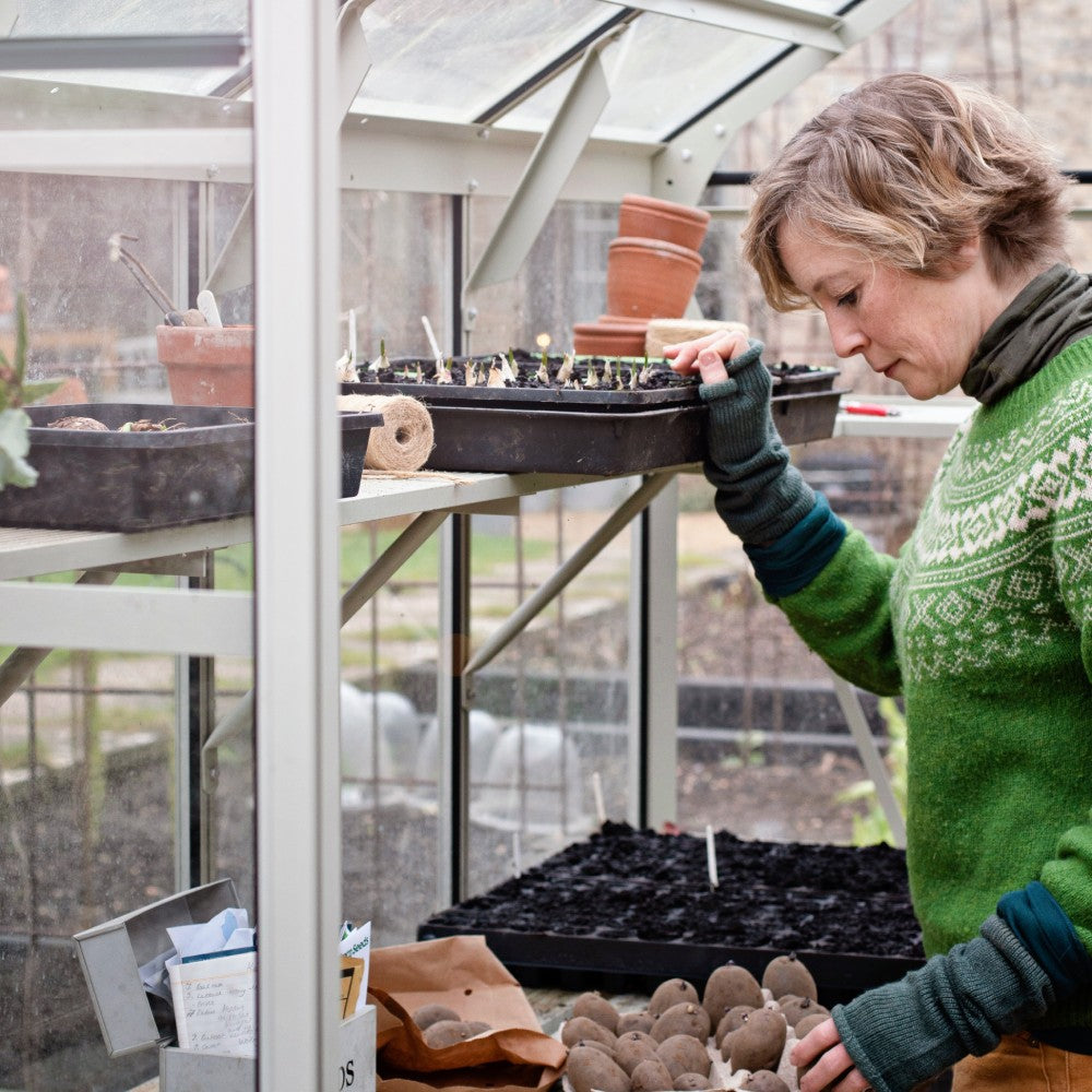 Person examining seedlings in a Rhino Greenhouse, wearing a green sweater and gloves. Surrounding them are trays of plants, pots, and gardening tools, creating a nurturing gardening environment.