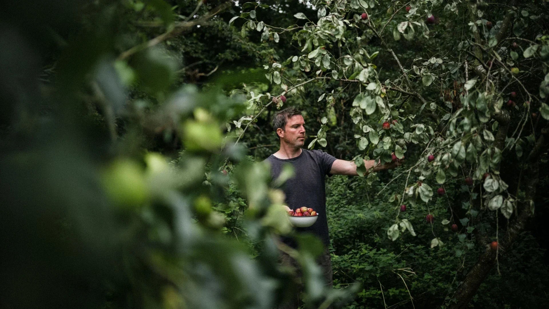 What to grow in your greenhouse and garden in June