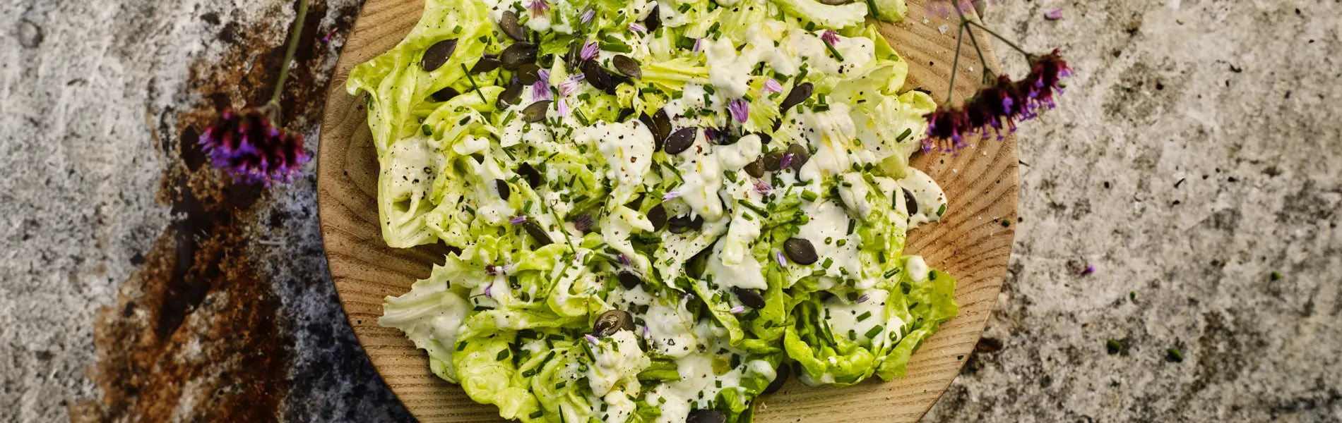 Gill Meller's Lettuce And Celery Salad With Blue Cheese Dressing | Rhino Greenhouses UK Gill Meller's Lettuce And Celery Salad With Blue Cheese Dressing | Rhino Greenhouses UK