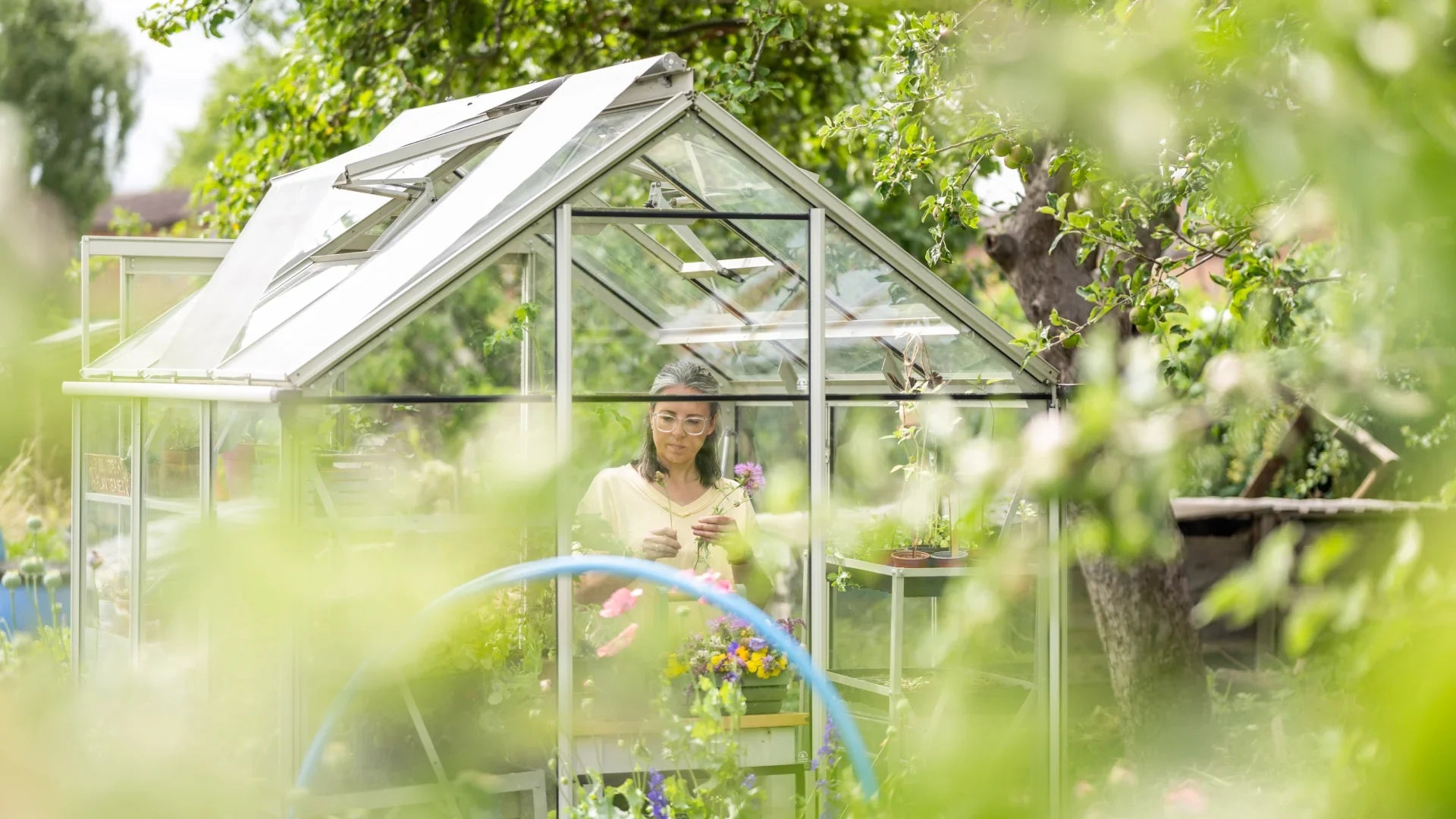 Things to Know Before Buying a Greenhouse