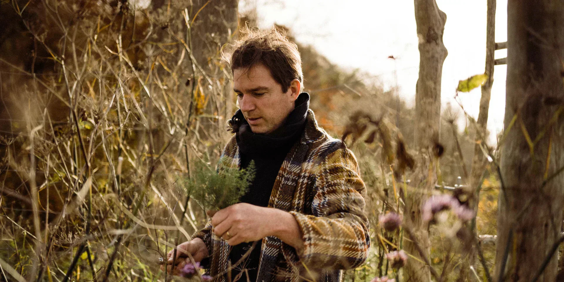 Common mistakes to avoid when deadheading flowers