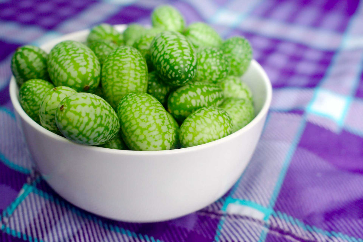 How to Grow Cucamelons in the UK