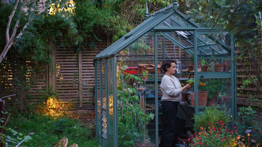 Miria's Greenhouse Diary