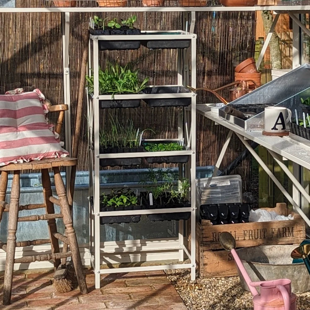 Shelved plants grow in trays on a metal rack, surrounded by gardening tools and accessories. A striped cushion rests on a wooden chair. A box labeled Royal Fruit Farm is nearby.