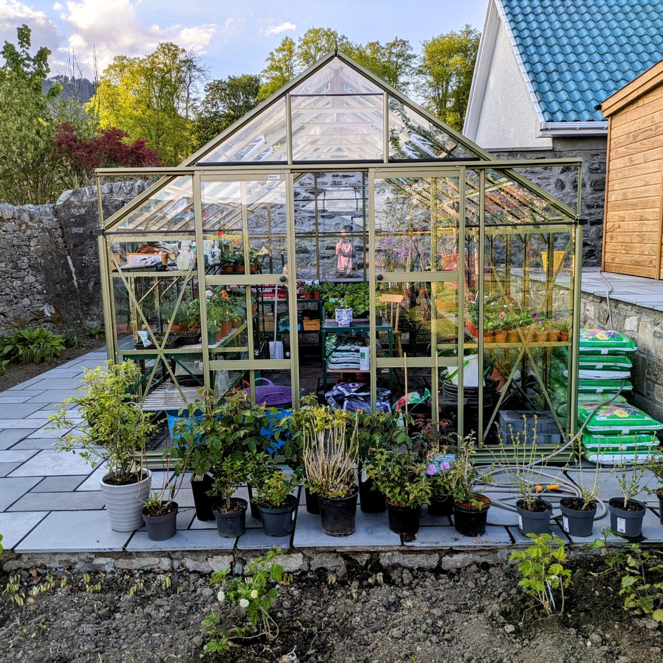 10x14 Silver Sage Rhino greehouse