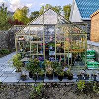 10x14 Silver Sage Rhino greehouse