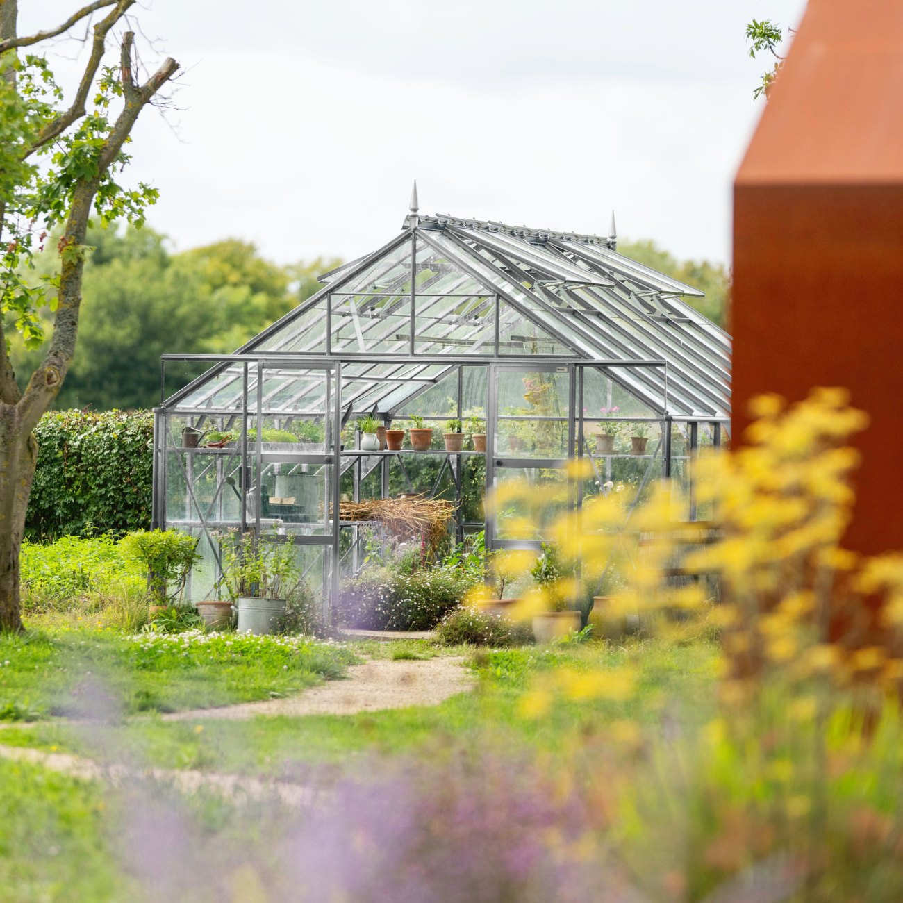 plain aluminium rhino greenhouse 12x16