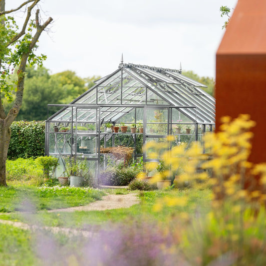 plain aluminium rhino greenhouse 12x16