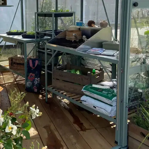 A Rhino Greenhouse interior with plants on raised shelves; gardening supplies and tools are organized on metal racks. Sunlight filters through glass walls, illuminating wooden flooring and various green items.
