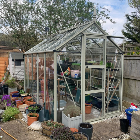 A glass Rhino Greenhouse stands in a garden, housing potted plants and gardening tools. Surrounded by various pots and flowers, the setting includes trees and a wooden fence in the background.