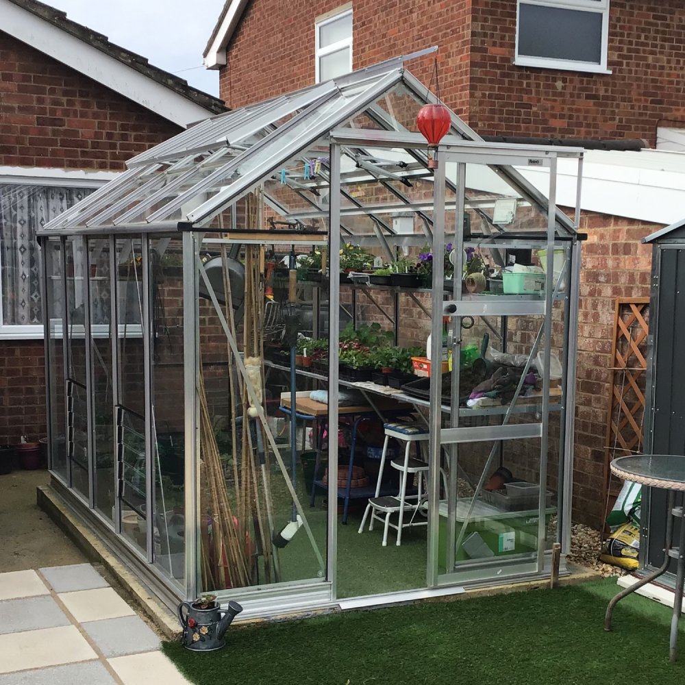 A glass Rhino Greenhouse contains various potted plants and gardening tools on shelves. It's located in a backyard, surrounded by brick walls and adjacent to a residential building.