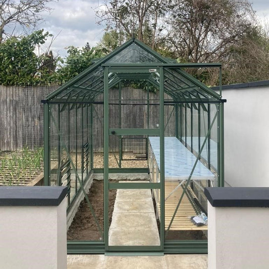 A green metal-frame Rhino Greenhouse stands on a paved path, with shelving inside. It is surrounded by a wooden fence and garden with trees. The text reads: Rhino.