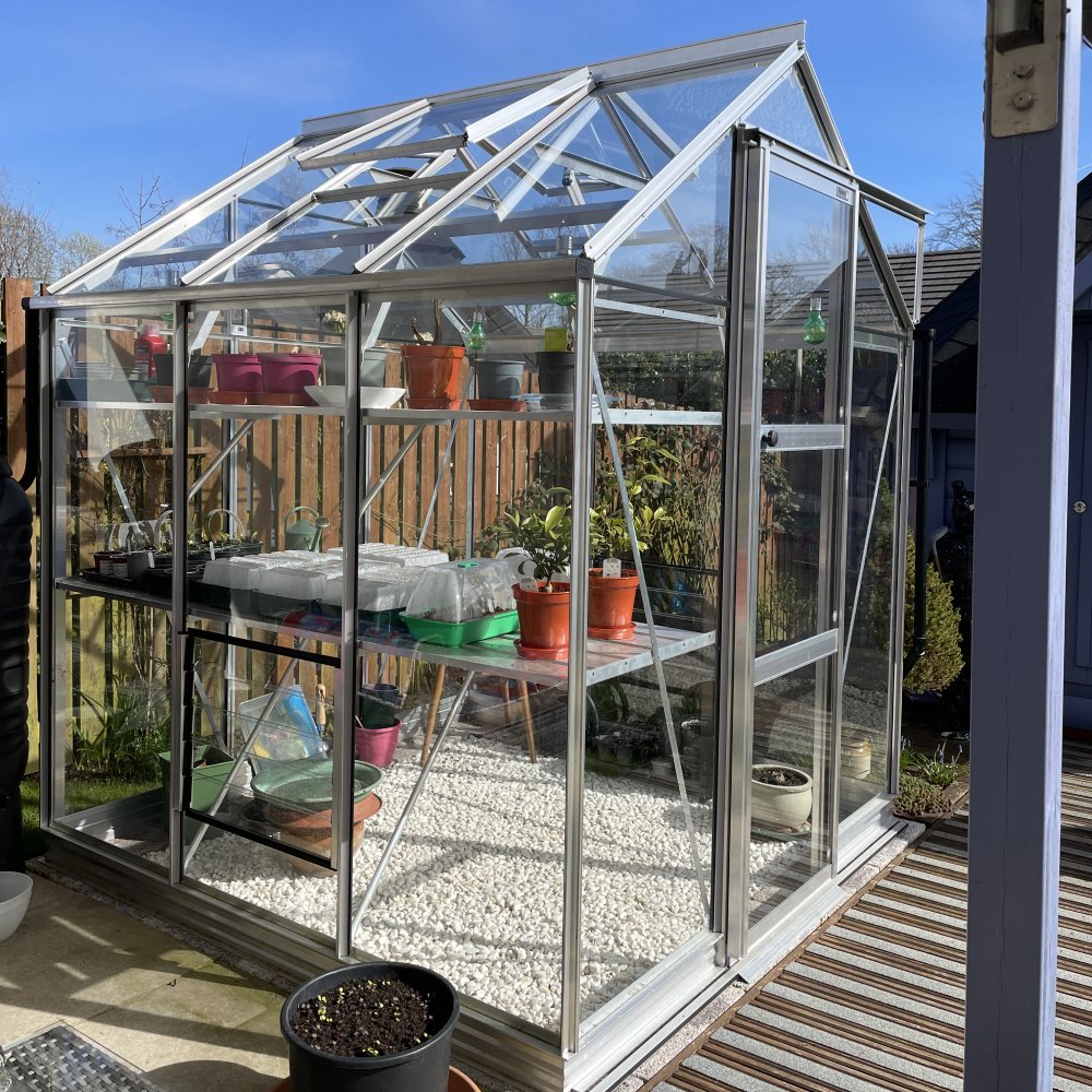 A glass Rhino Greenhouse stands with shelves holding various potted plants, set on a gravel floor. It is placed outdoors on a sunny day, next to a wooden fence and deck.
