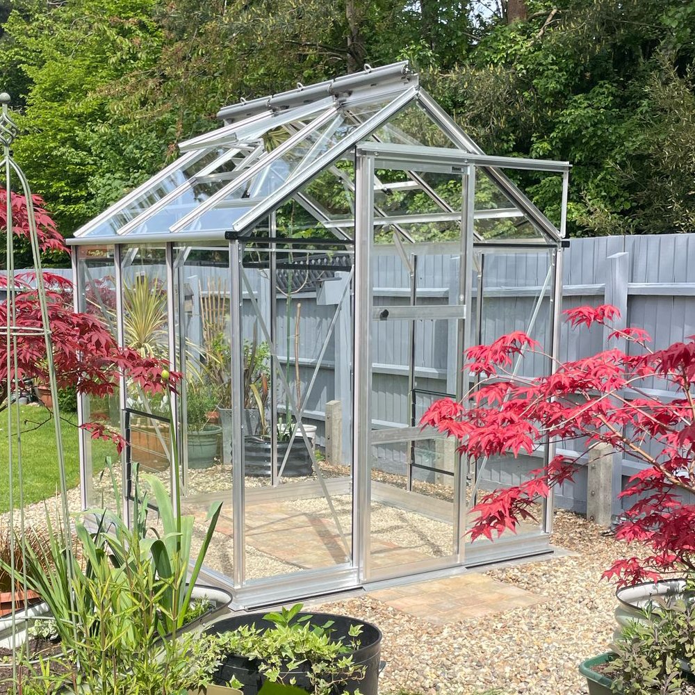 A glass Rhino Greenhouse with a metal frame stands on a gravel base, surrounded by red foliage plants and a gray wooden fence, under a clear, sunny sky.