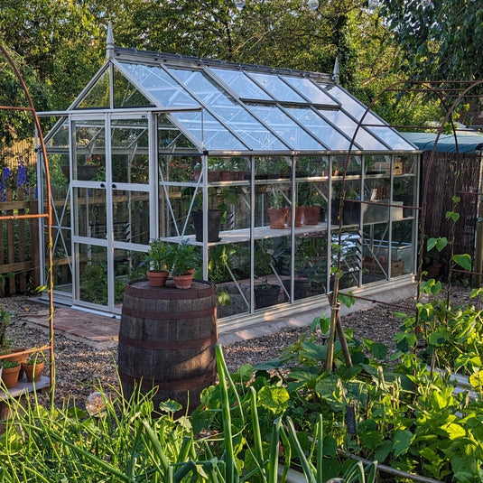A glass Rhino Greenhouse stands amid a lush garden, housing potted plants on shelves. Nearby, a wooden barrel serves as a plant stand. The area is surrounded by greenery and garden structures.