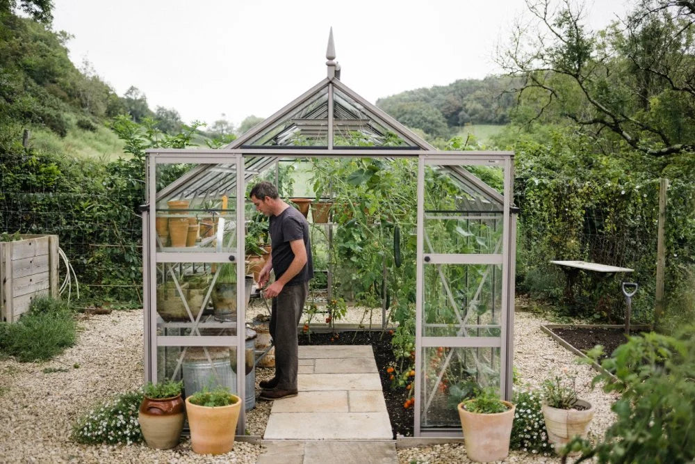 A person tends to plants inside a glass Rhino Greenhouse with a triangular roof. The Rhino Greenhouse sits on a stone path, surrounded by lush greenery and potted plants.