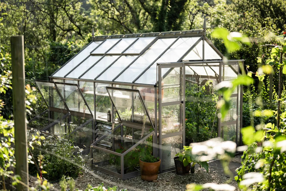 A glass-paneled Rhino Greenhouse stands amid lush foliage, bathing in sunlight. Inside, greenery thrives in pots on gravel, while surrounding trees create a peaceful, natural setting.