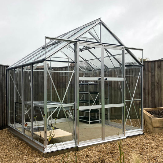 A glass Rhino Greenhouse with a metal frame stands on a gravel surface, featuring shelving inside and surrounded by a wooden fence and a planter in a garden setting.