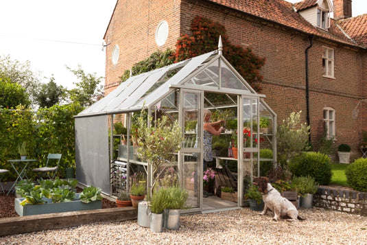 Rhino Greenhouse with a person tending plants inside, located in a garden beside a brick house. Surrounded by potted plants, outdoor furniture, and a dog sitting nearby.