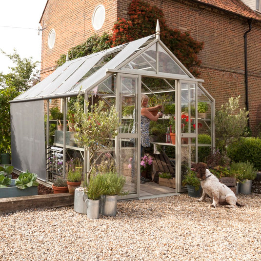 A woman tends to plants inside a glass Rhino Greenhouse. A dog sits outside on a gravel path, next to potted plants. A brick building and lush greenery form the backdrop.