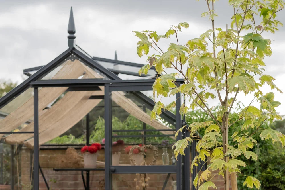 A black-framed Rhino Greenhouse with beige fabric shades houses potted plants with red flowers, set amidst a lush garden featuring a leafy tree, under a cloudy sky.