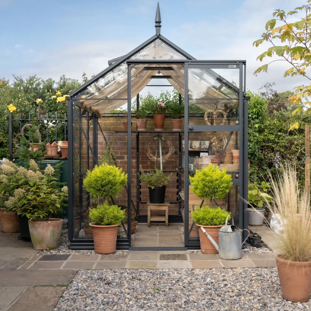 A glass-walled Rhino Greenhouse with a pointed roof houses potted plants on shelves, surrounded by more plants outside on a stone path. A watering can sits beside the entrance.