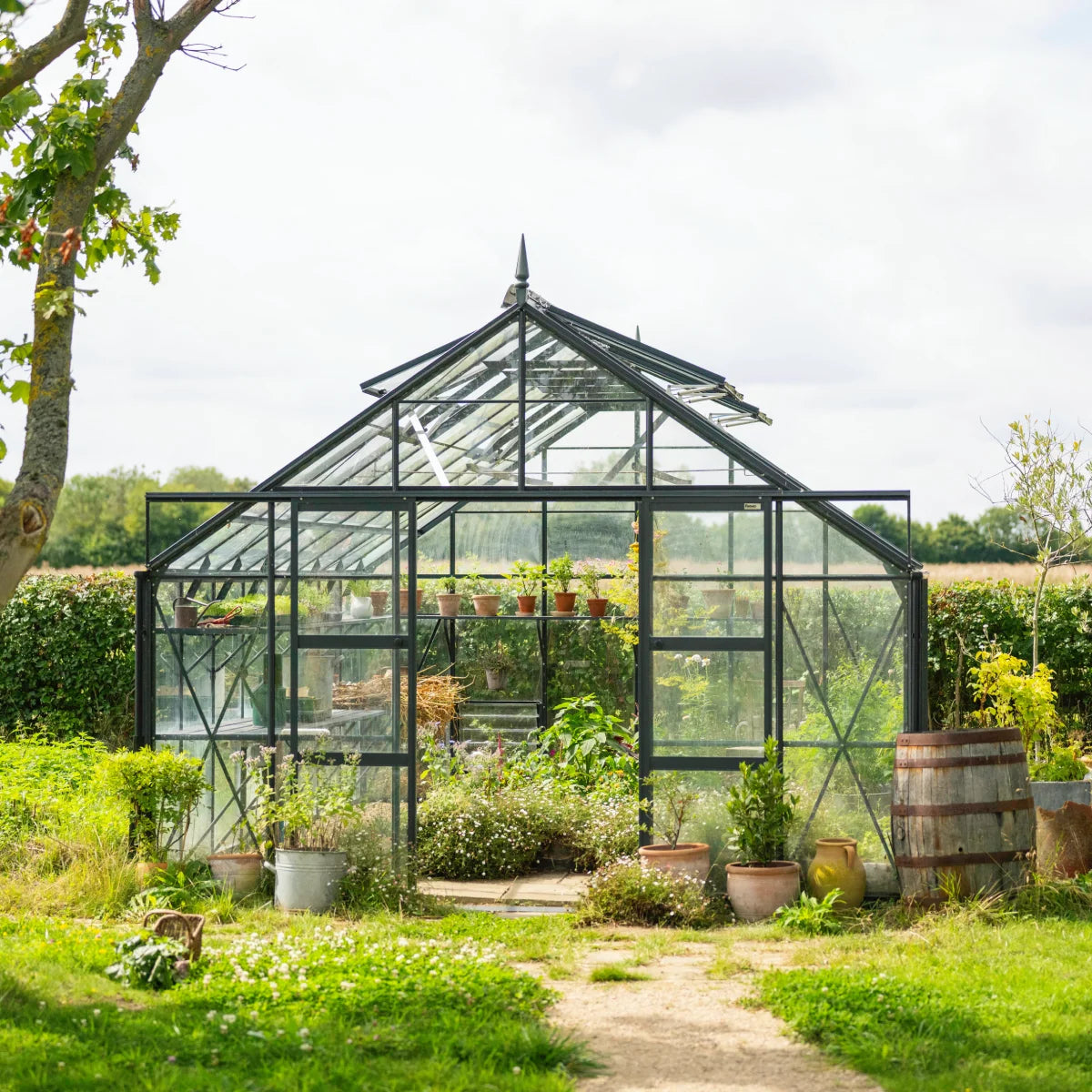 Front view of a large Rhino greenhouse infront of a small green hedge with rolling fields behind