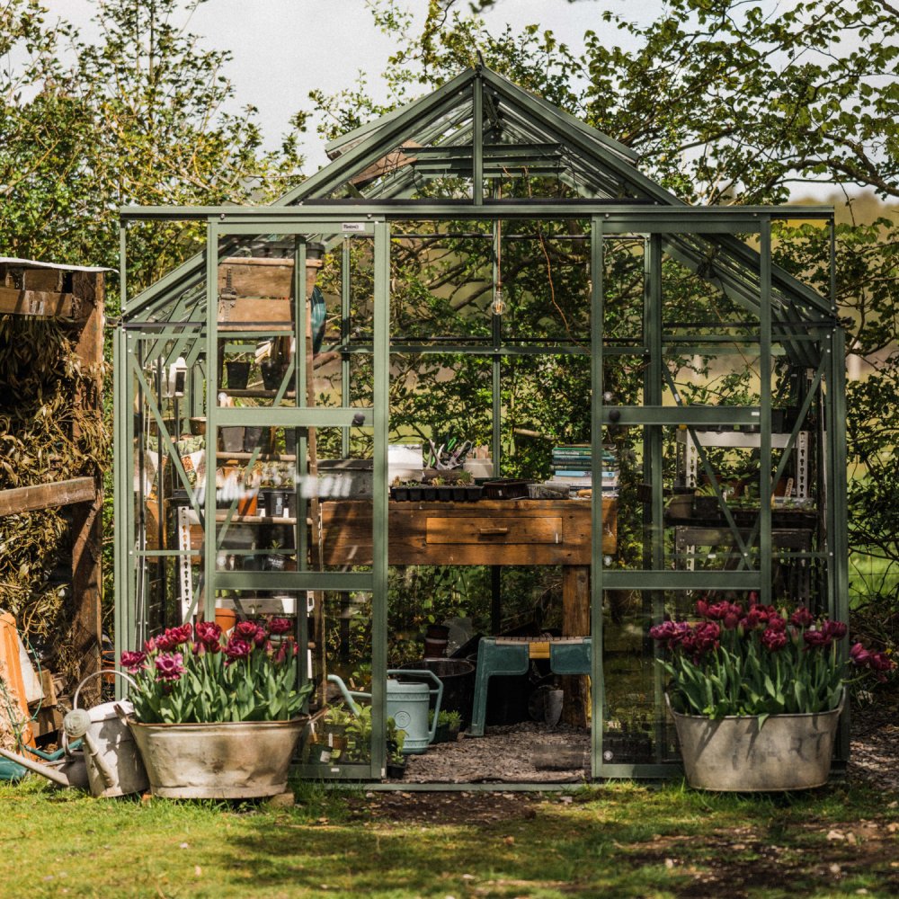 A green Rhino Greenhouse stands surrounded by lush trees, housing wooden shelves with gardening tools and pots. Two large containers of blooming tulips are positioned at the entrance.
