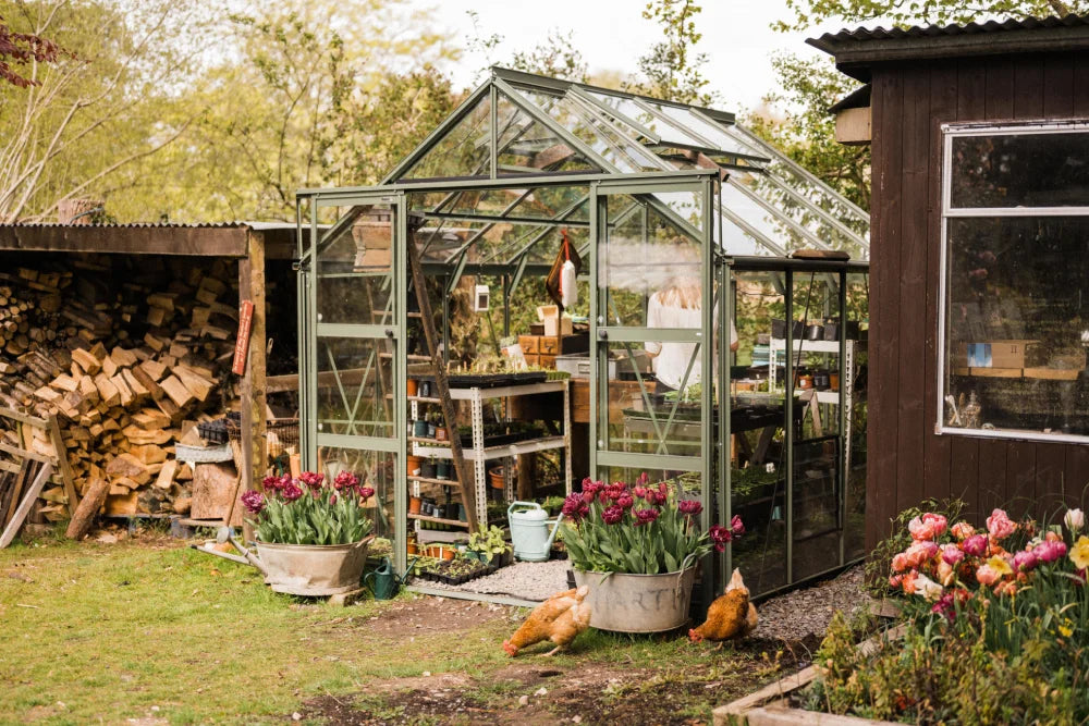 A glass Rhino Greenhouse with open doors contains gardening supplies. It sits between a woodpile and a wooden shed, surrounded by tulips and chickens in a lush garden.