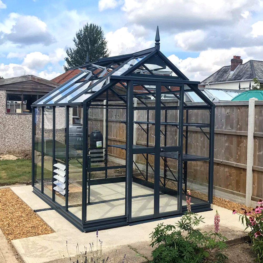 A glass Rhino Greenhouse with a dark metal frame stands on a paved area, surrounded by wooden fences and plants, under a partly cloudy sky.