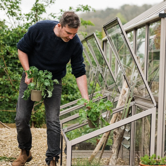 A person crouches beside a Rhino Greenhouse, holding potted plants. The Rhino Greenhouse windows are open, with more plants inside. Gravel and greenery surround the scene, creating a lush garden environment.