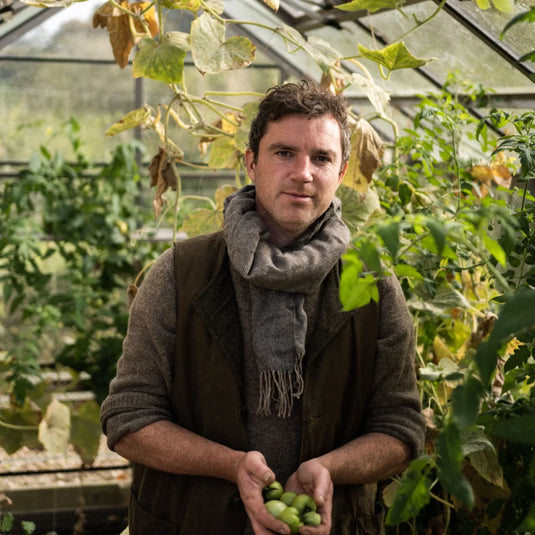 A person stands in a Rhino Greenhouse holding green tomatoes, surrounded by lush plants. The setting appears to be a thriving garden environment.