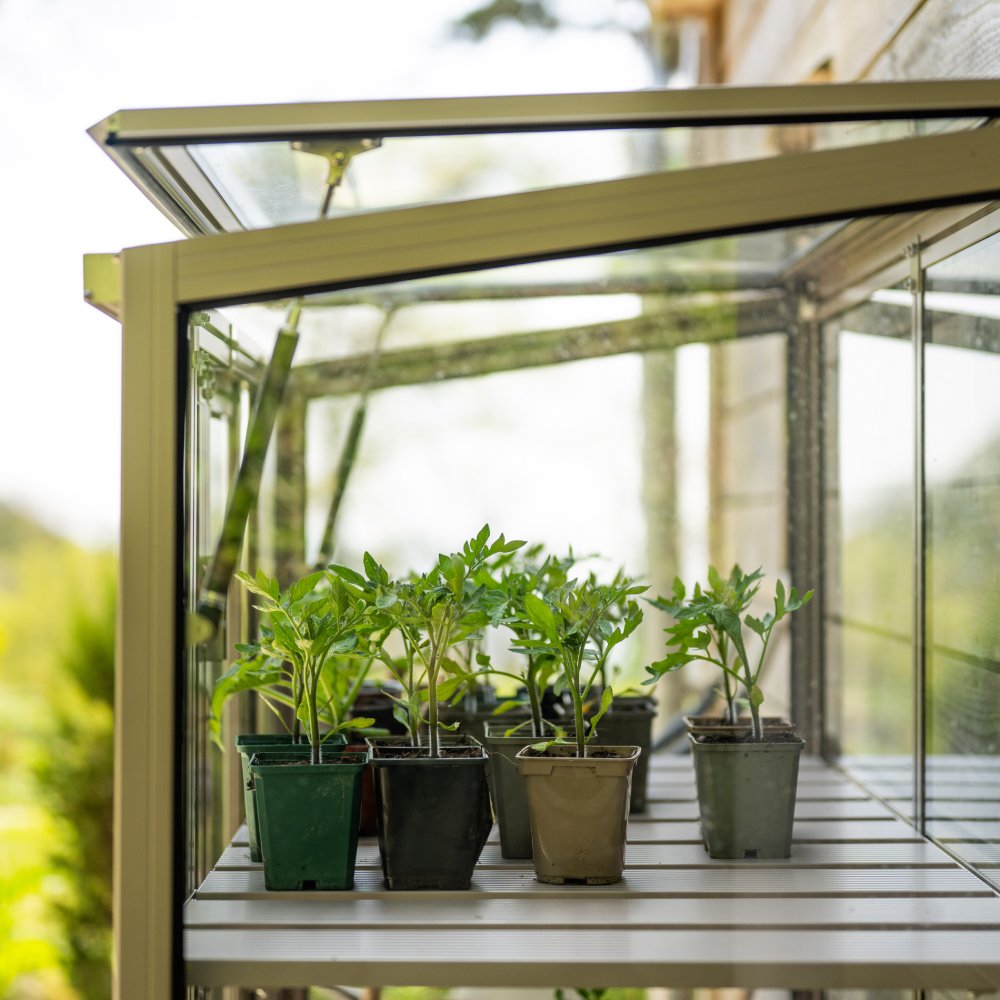 Pots with young green plants sit on a shelf inside a partially open glass Rhino Greenhouse, surrounded by a natural outdoor setting.