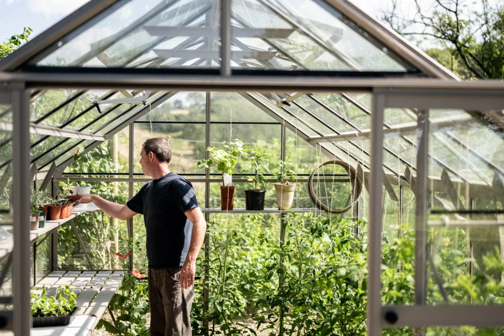 A person arranges potted plants on a shelf inside a glass Rhino Greenhouse filled with lush greenery, surrounded by trees and a clear sky.