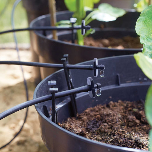 Black drip irrigation tubes release water droplets into a large pot filled with soil and green plants, set in a Rhino Greenhouse environment.