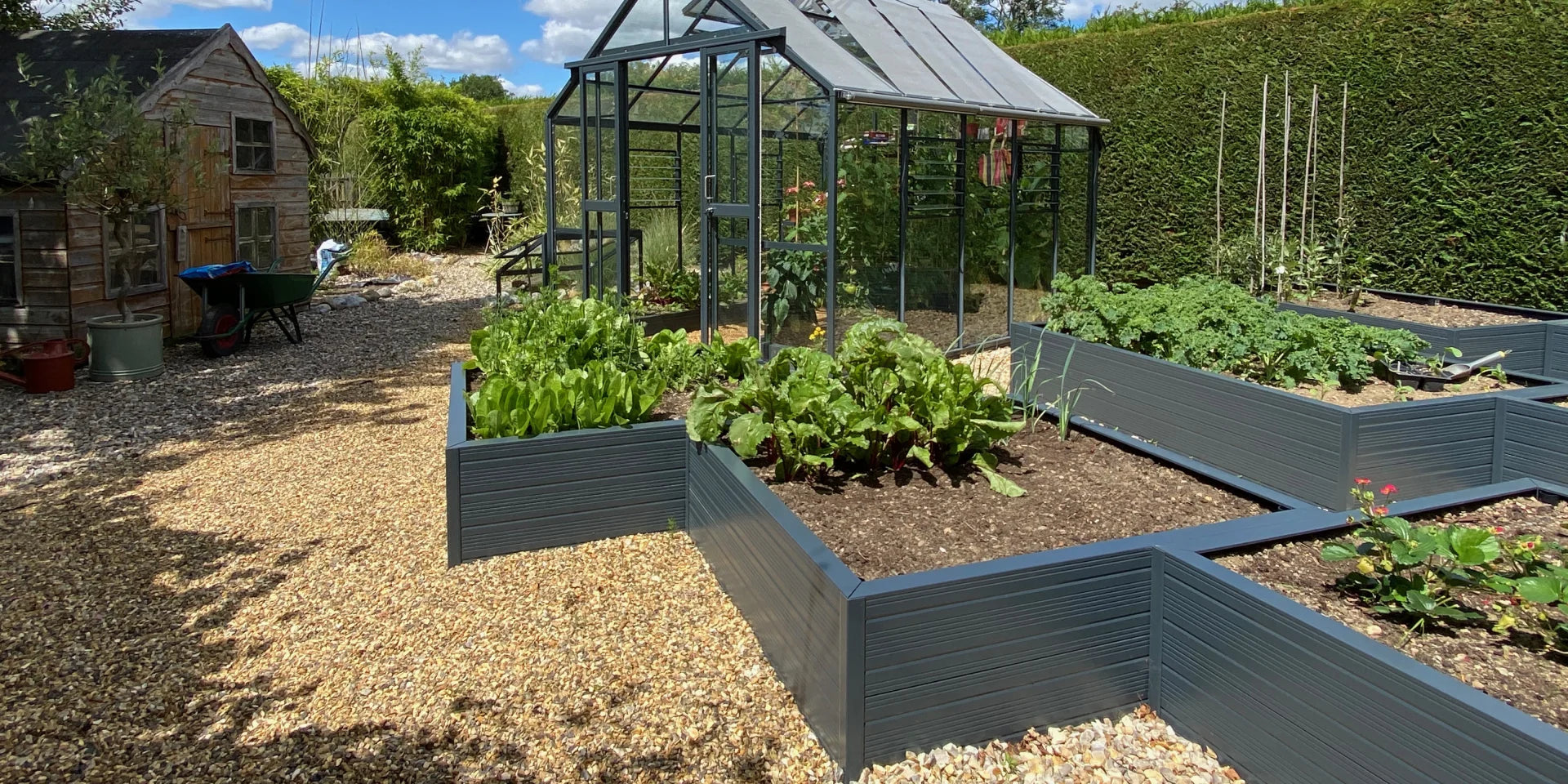 Rhino Greenhouse filled with plants stands among neatly organized Rhino metal raised garden beds. A small rustic wooden shed and a wheelbarrow are nearby, surrounded by gravel paths and hedges.