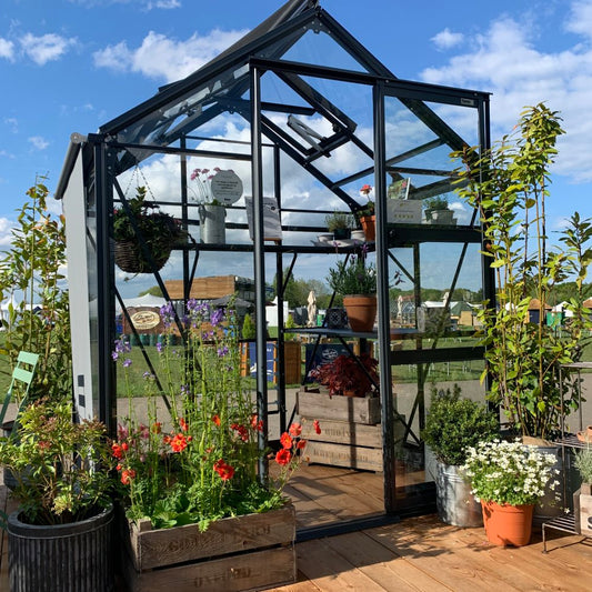 A glass Rhino Greenhouse contains various potted plants and flowers on wooden shelves. It is set on a wooden deck outdoors under a blue sky with scattered clouds.