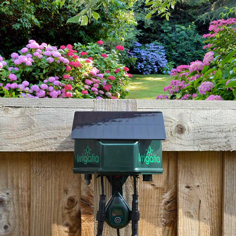 Irrigatia irrigation system, mounted on a wooden fence, overlooks a lush garden with blooming pink and purple flowers. Text: Irrigatia on the device.
