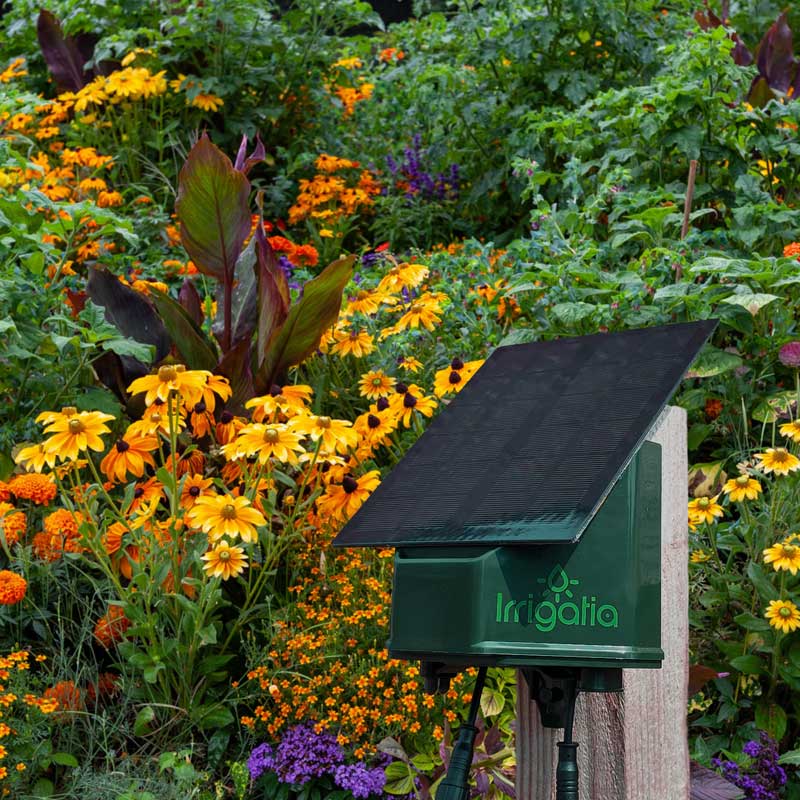 A green solar-powered Irrigatia unit is mounted on a post, watering a vibrant garden filled with yellow and orange flowers, surrounded by lush greenery.
