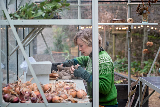 A person arranges bulbs and seeds on a shelf inside a Rhino Greenhouse. The space has various gardening tools and produce, with an outdoor garden visible through the glass.