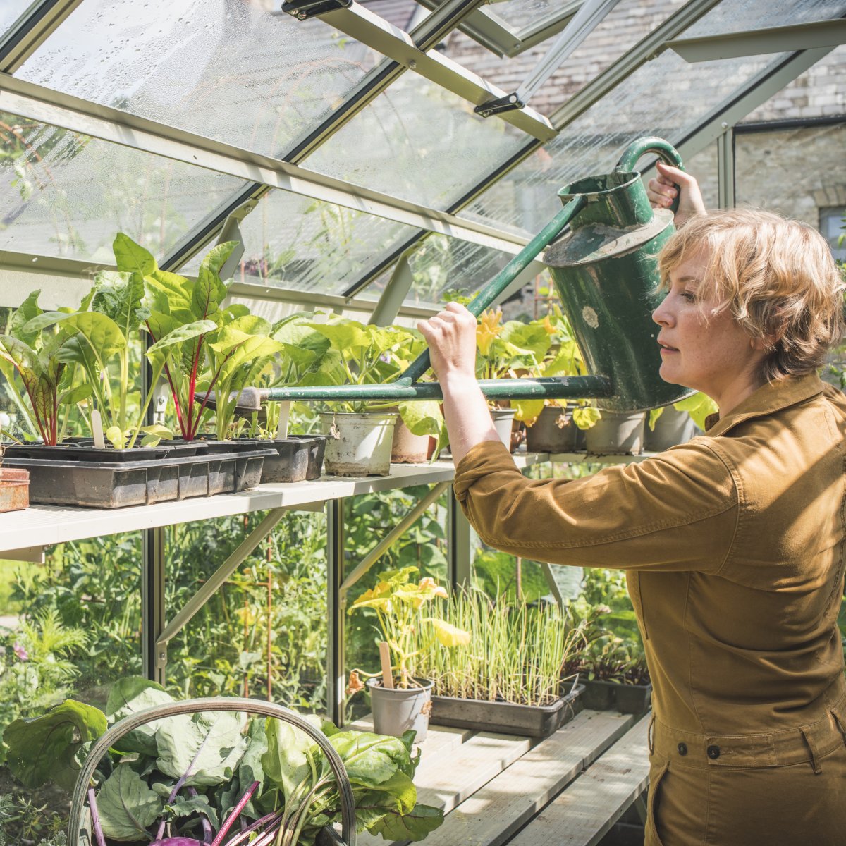 A person waters plants using a green watering can inside a Rhino Greenhouse filled with various potted plants and leafy greens. Sunlight filters through the clear roof panels.