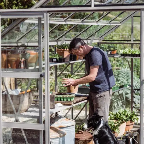 A man tends to plants inside a glass Rhino Greenhouse, surrounded by various gardening tools and potted plants. A dog stands nearby, and green foliage is visible outside.