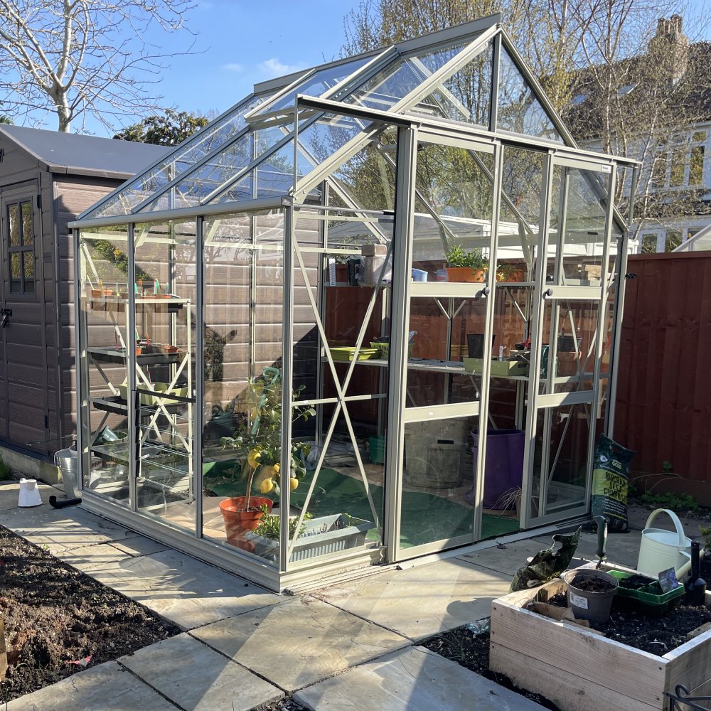 A glass Rhino Greenhouse stands with plants inside, situated in a backyard. Surrounded by a wooden shed, a red fence, and a garden bed, it basks in sunlight.