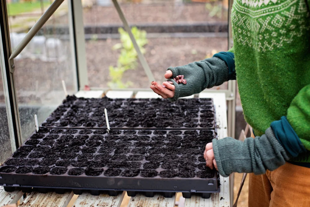 Hands scatter seeds over a seed tray filled with soil. The person wears fingerless gloves and a green sweater, standing inside a Rhino Greenhouse, with garden beds visible outside.