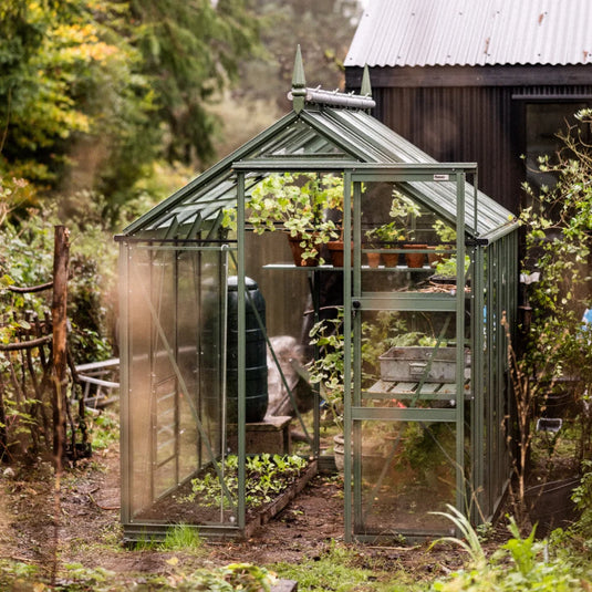 A small green metal-framed Rhino Greenhouse houses plants and pots, surrounded by lush garden vegetation and adjacent to a dark wooden shed.