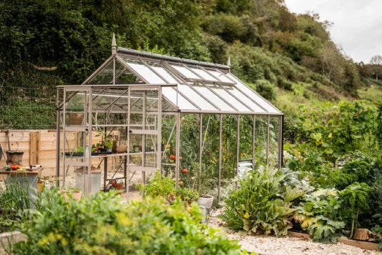 A Rhino Greenhouse with a glass-paneled structure stands amidst lush greenery, housing various plants and gardening tools. Surrounding it are abundant, diverse plants, creating a vibrant garden setting.
