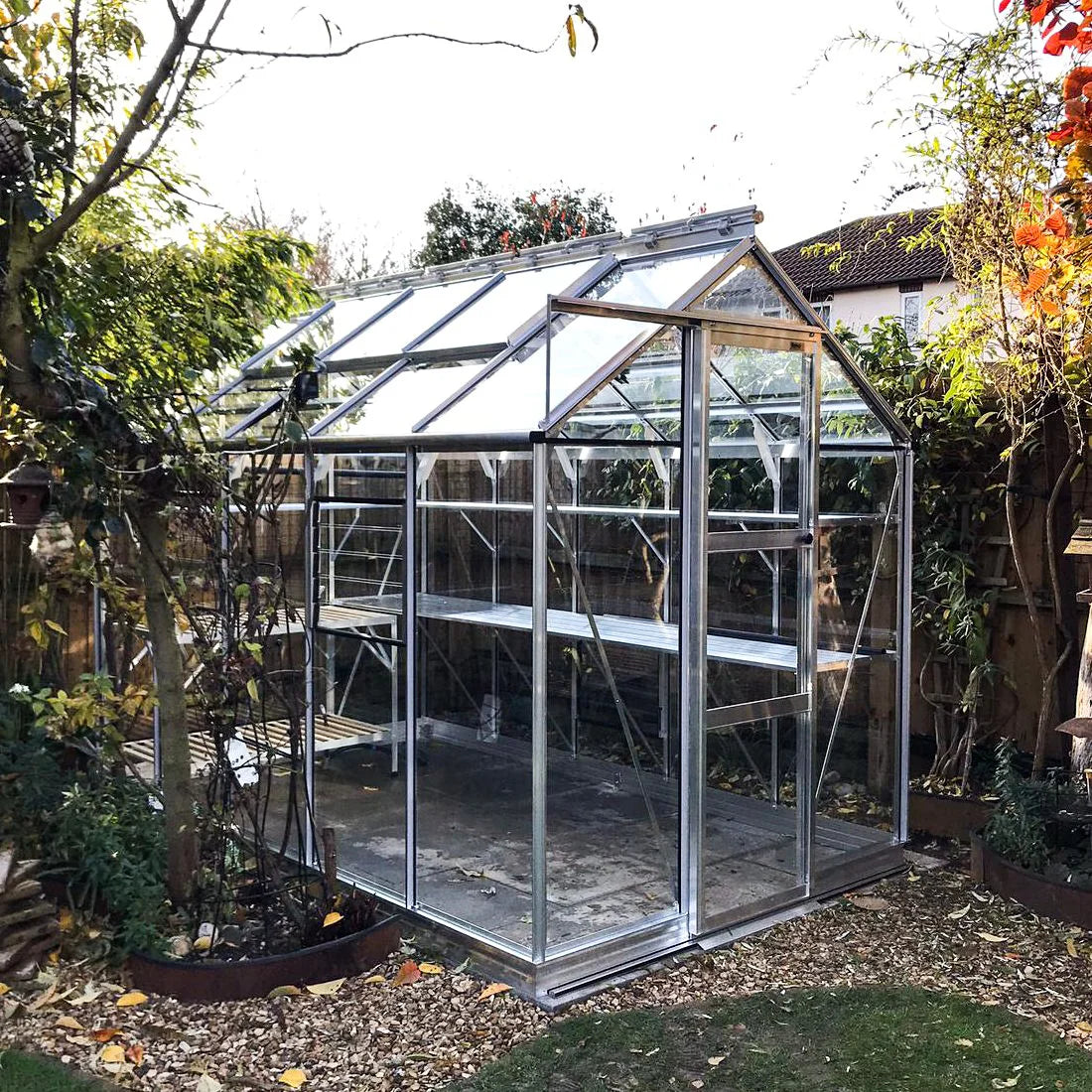 A glass and metal Rhino Greenhouse stands in a garden, surrounded by trees and shrubs, with shelving inside for planting. The ground is covered with wood chips and grass.