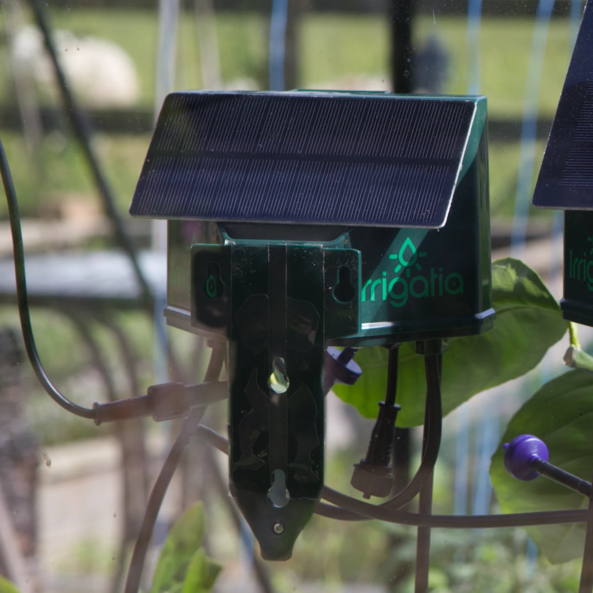 A solar-powered device labeled Irrigatia is mounted and connected to cables, situated among green foliage within a Rhino Greenhouse-like environment.